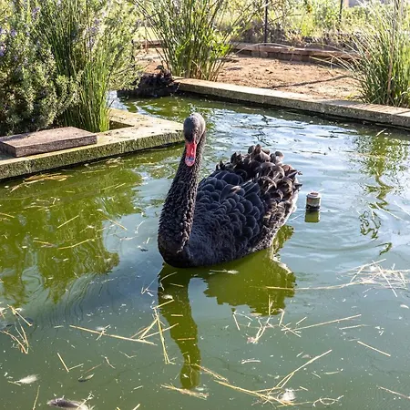 منتجع Relais Borgo Segine ميليندونيو