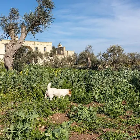 منتجع Relais Borgo Segine ميليندونيو