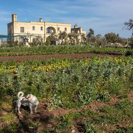 Resort Relais Borgo Segine